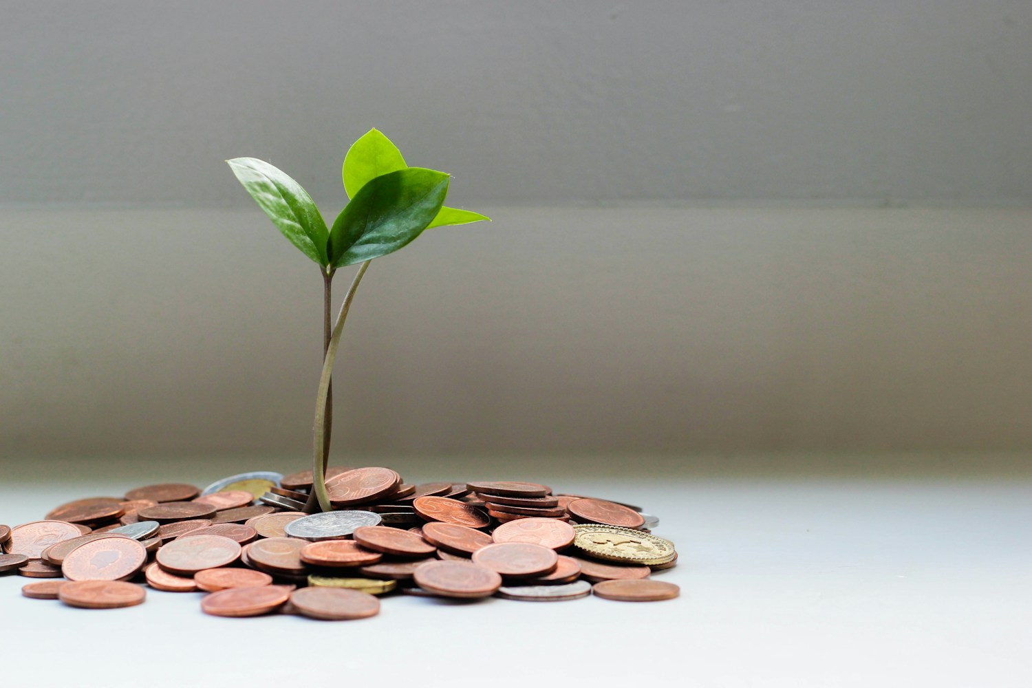 Registered Retirement Saving Plan